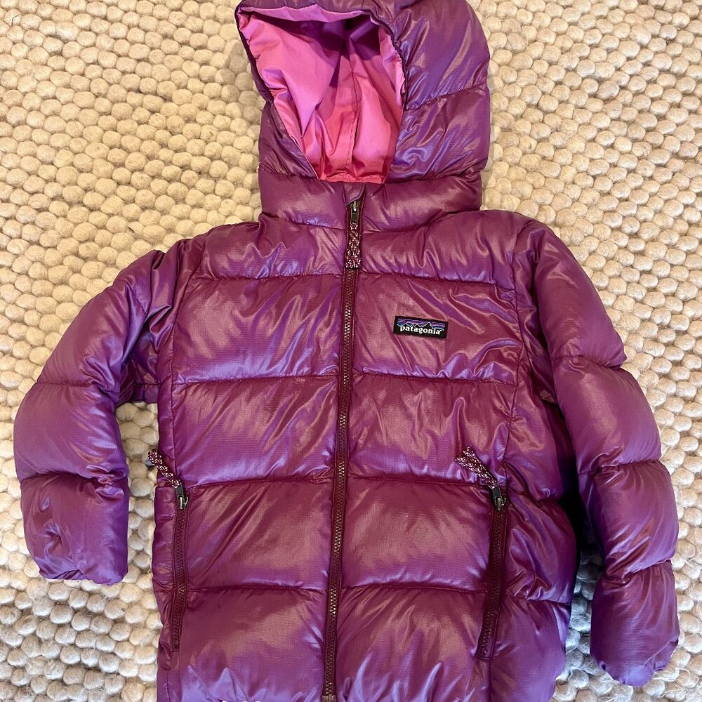 Patagonia 5T Hi-Loft Down Sweater Hoody